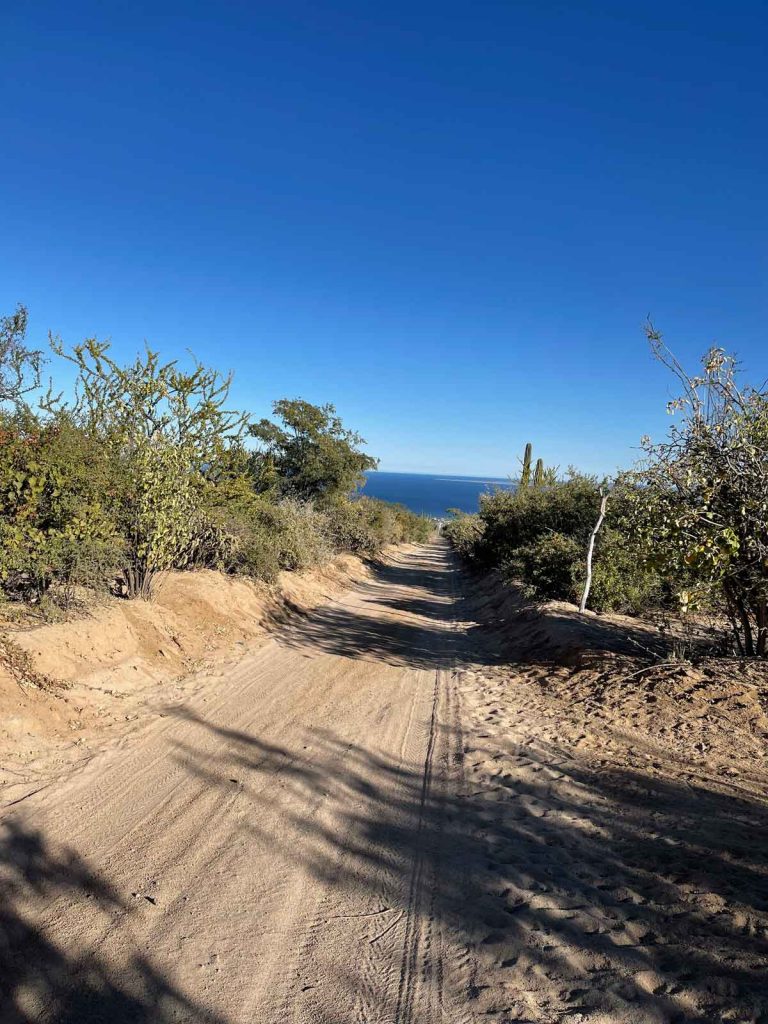 Bike Ride Downhill