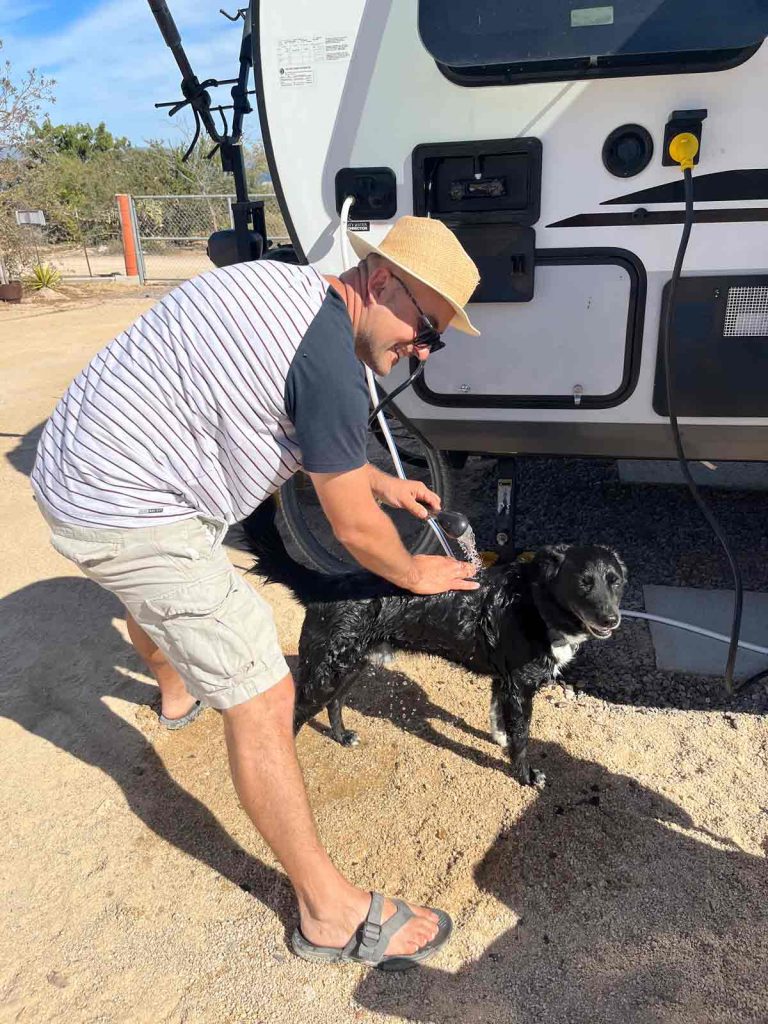 Dogo Getting Bath