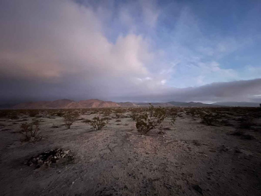 Joshua Tree Dispersed Camping