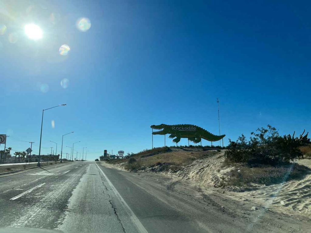 Rockodile in San Felipe MX